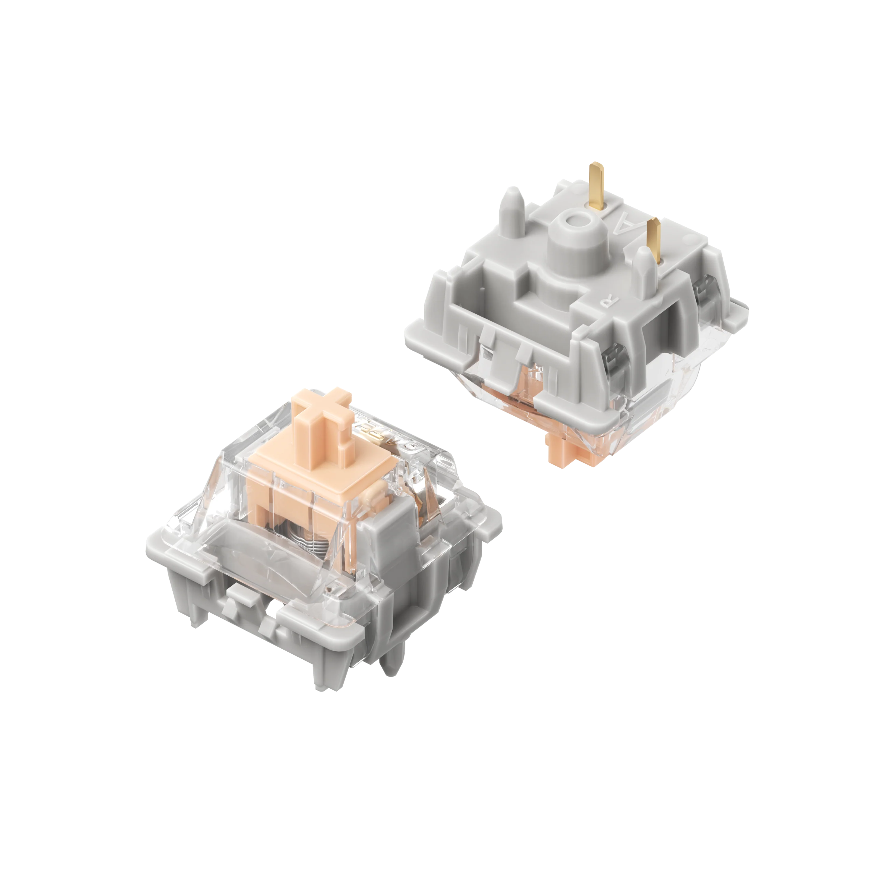 NuPhy Max Switches - Image 4